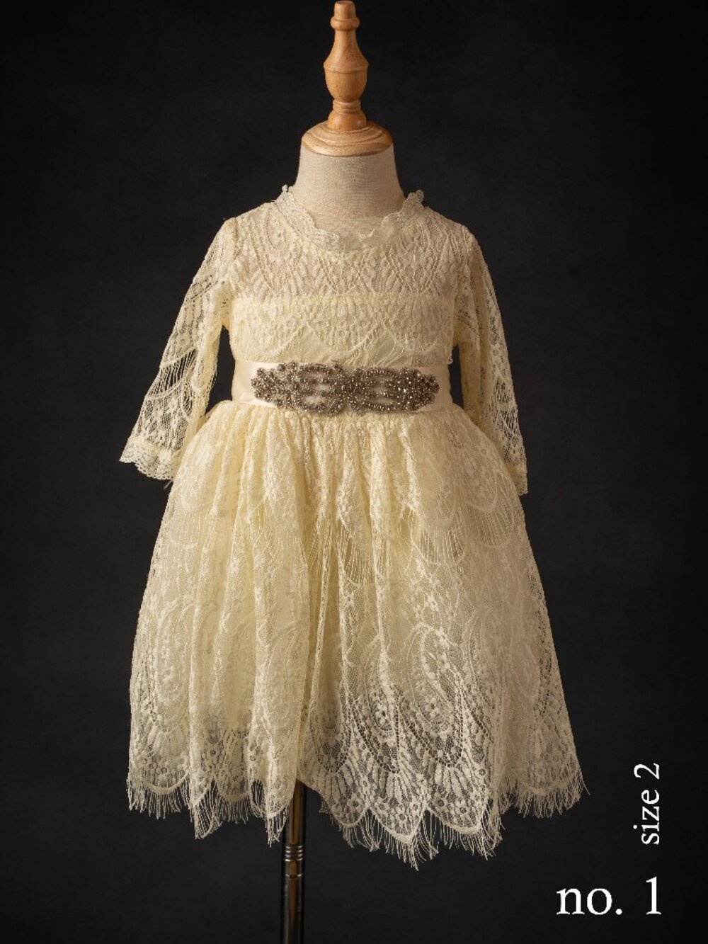 Trish Scully Lace Dress, size 2